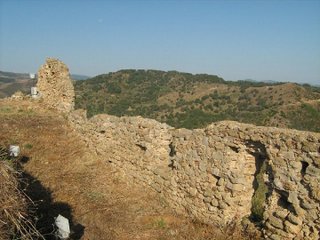 stello di Tripi-06-02-2016 18-11-01